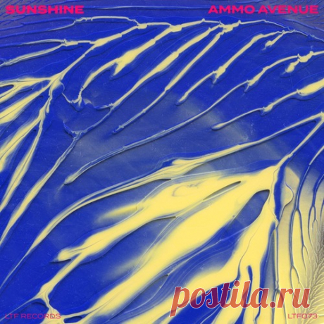 Ammo Avenue - Sunshine [ Tech House] free download mp3 music 320kbps