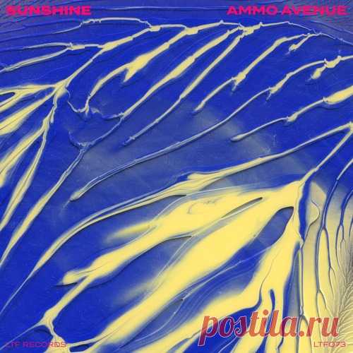 Ammo Avenue - Sunshine [ Tech House] free download mp3 music 320kbps