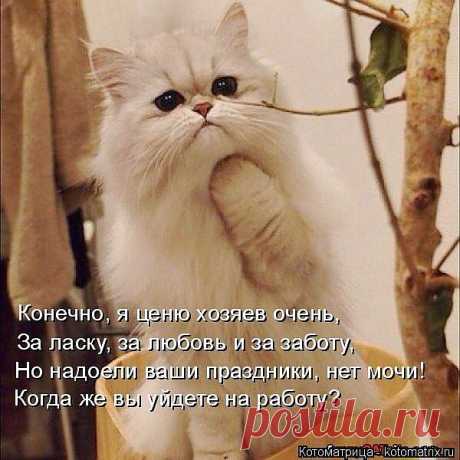 Мой Мир@Mail.Ru