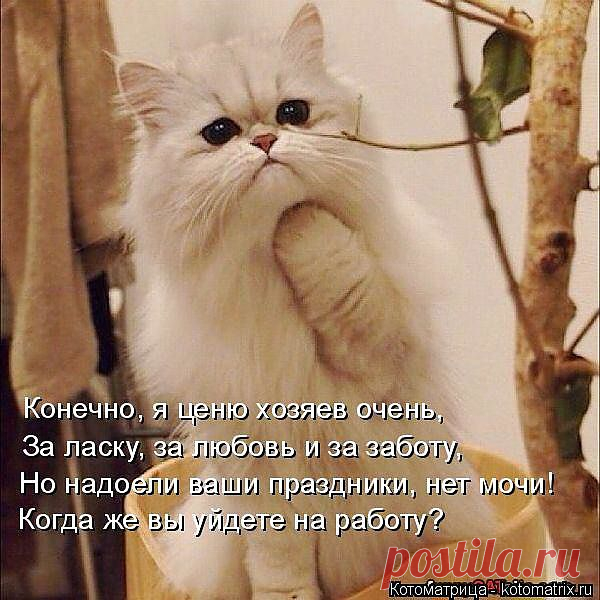 Мой Мир@Mail.Ru