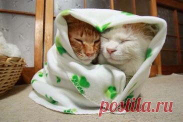 Прописываем всем прочитавшим уютное одеялко