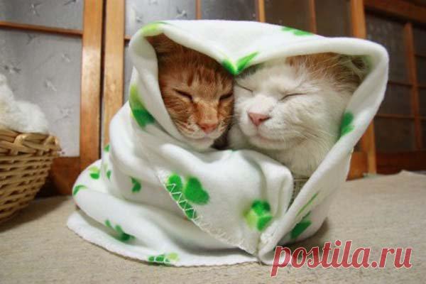 Прописываем всем прочитавшим уютное одеялко