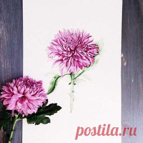 Фотографии на стене сообщества | 35 493 фотографии