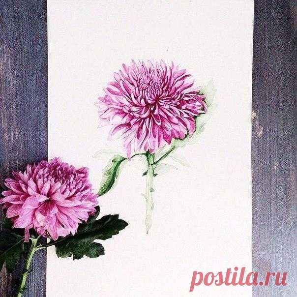Фотографии на стене сообщества | 35 493 фотографии