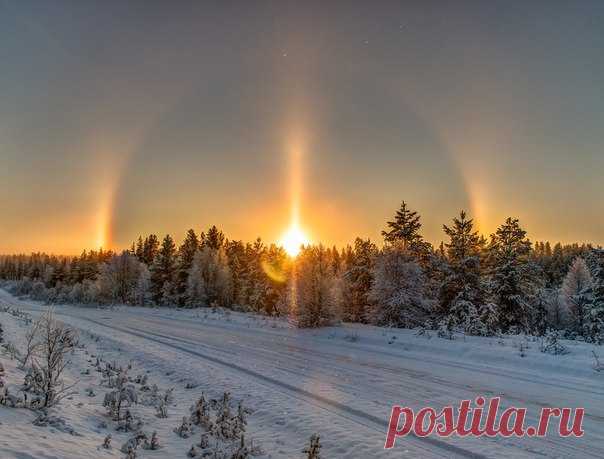 Лесное гало. Недалеко от Ковдора, Мурманская область. Автор фото - Юрий: nat-geo.ru/photo/user/341020/