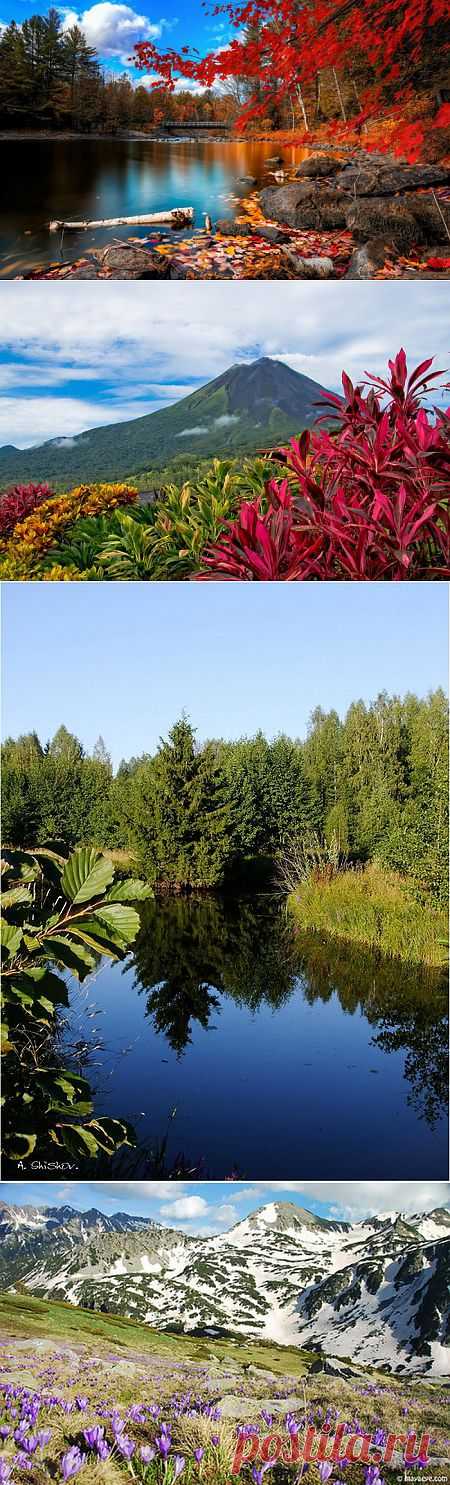 Как прекрасен этот мир (40 фото) »