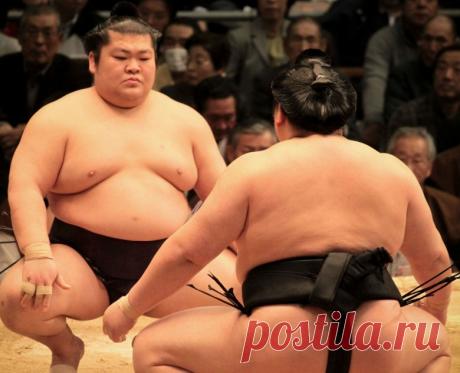 Самые необычные виды боевых искусств — Наука и жизнь