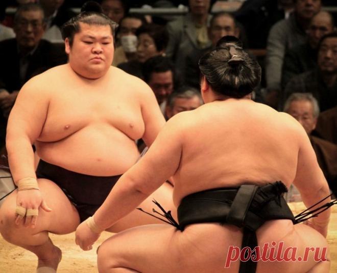 Самые необычные виды боевых искусств — Наука и жизнь