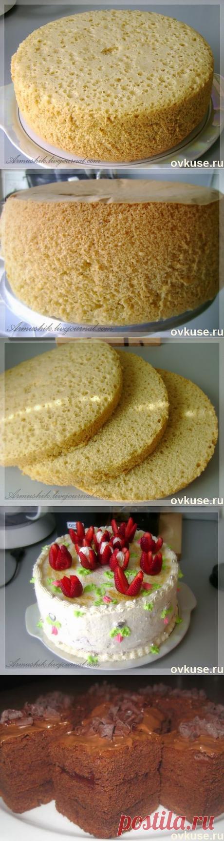 ВЫСОКИЙ,НЕЖНЫЙ БИСКВИТ ДЛЯ ТОРТА (ПОДБОРКА) - Простые рецепты Овкусе.ру