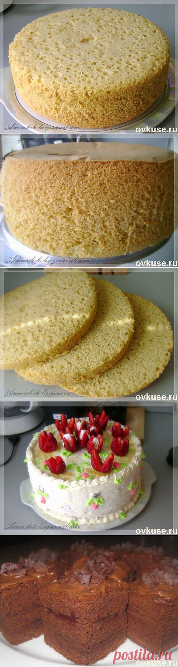 ВЫСОКИЙ,НЕЖНЫЙ БИСКВИТ ДЛЯ ТОРТА (ПОДБОРКА) - Простые рецепты Овкусе.ру