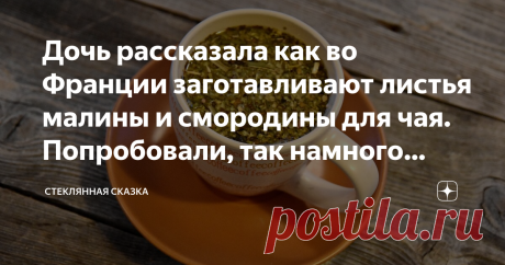 Дочь рассказала как во Франции заготавливают листья малины и смородины для чая. Попробовали, так намного вкуснее Во Франции придумали свой способ консервации запахов прямо в листьях. Кстати, так получается даже ароматнее, чем со свежими листьями.