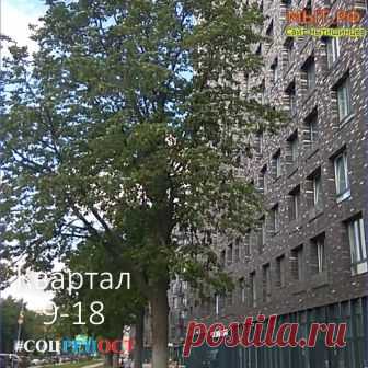 Мытищи Мыт.РФ #Мытищи