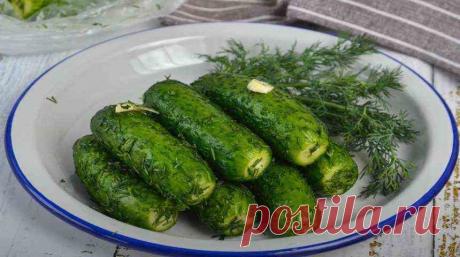 Быстрые малосольные огурцы в пакете с чесноком - Блог домохозяйки
