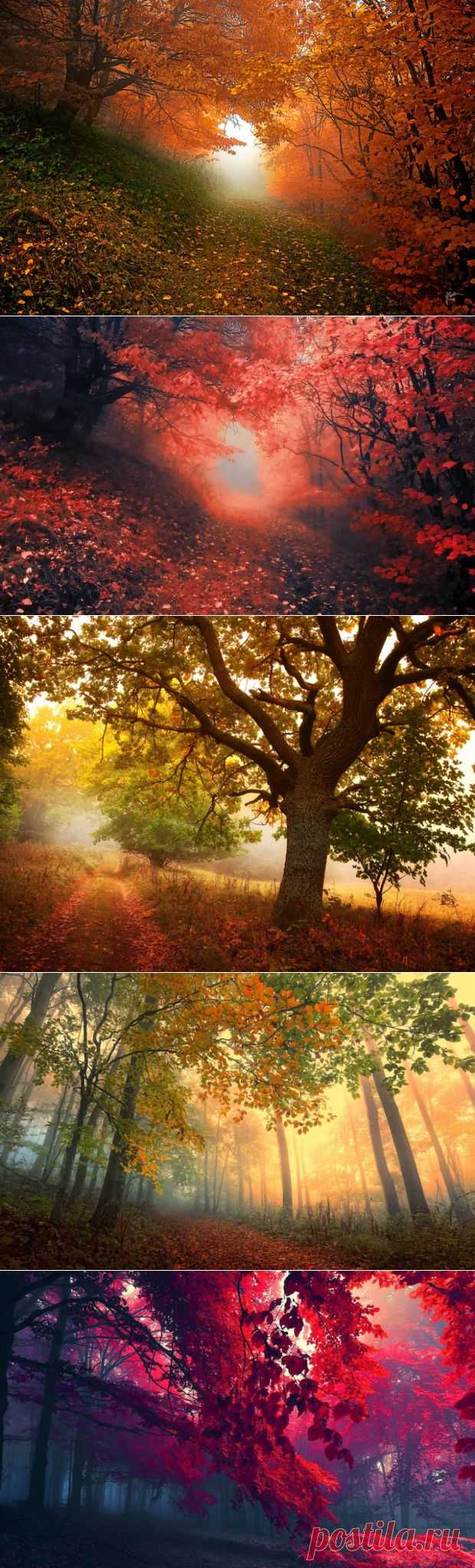 Фотопейзажи чешского фотографа Janek Sedlar