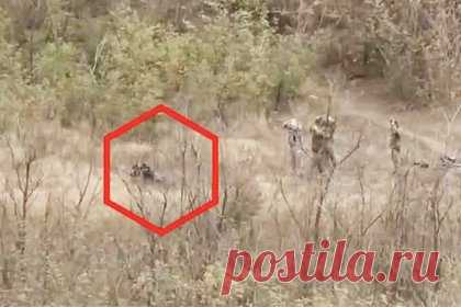 Сдача бойцов ВСУ в плен в ДНР попала на видео