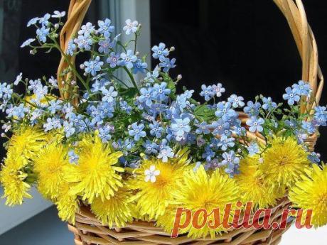 Всем друзьям и просто добрым людям!!!