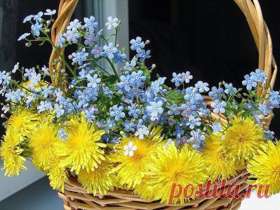 Всем друзьям и просто добрым людям!!!