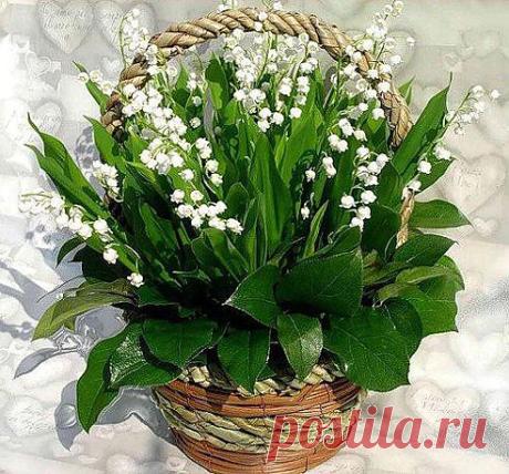 Весенний букет