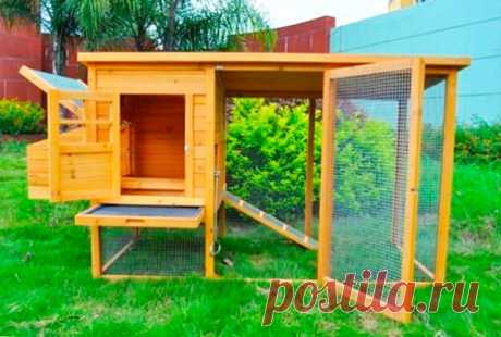 Мини курятник на 5 – 10 кур своими руками: фото, видео изготовления