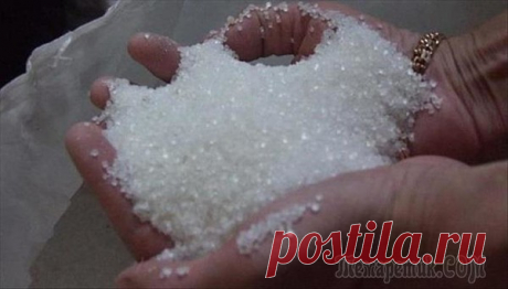 10 способов использования сахара дома и на даче – Тепло людских сердец, пользователь Дон- Кихот | Группы Мой Мир