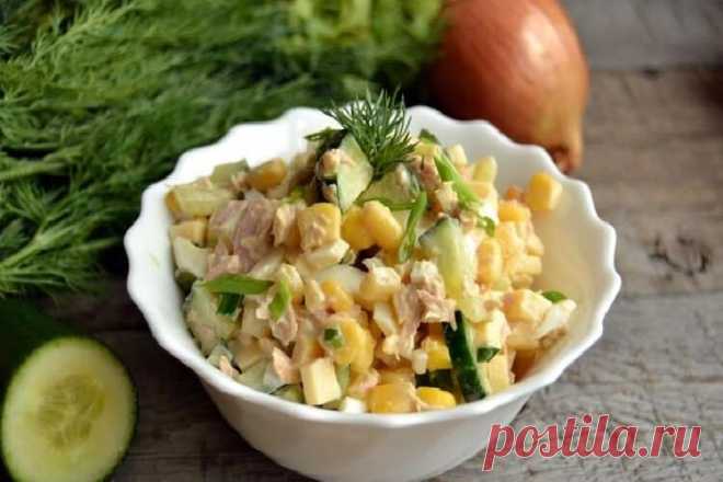 Салат с консервированным тунцом: вкусный салатик как для праздничного, так и для повседневного стола • Сияние Жизни