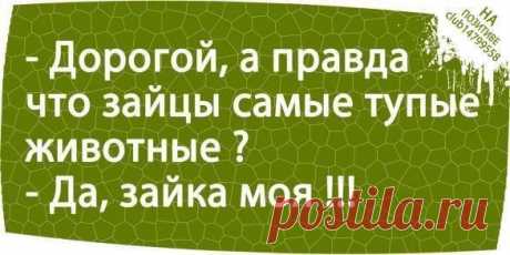 Лучшие цитаты интернета | ВШоке.инфо - шокирующие новости, факты, юмор и многое другое!