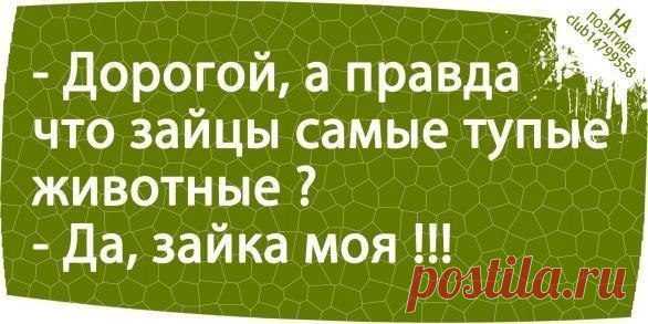 Лучшие цитаты интернета | ВШоке.инфо - шокирующие новости, факты, юмор и многое другое!