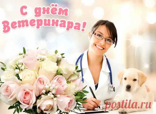 Сегодня День ветеринара!
Твоя работа нелегка:
Чем залечить корове рану,
Где сил найти и для быка,
Помочь и кошке, и собаке,
Спасти рыбешку от хандры...