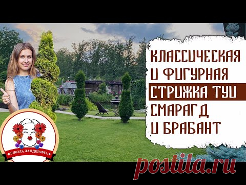 КЛАССИЧЕСКАЯ И ФИГУРНАЯ СТРИЖКА ТУИ СМАРАГД И БРАБАНТ