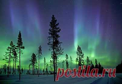 (1) Facebook