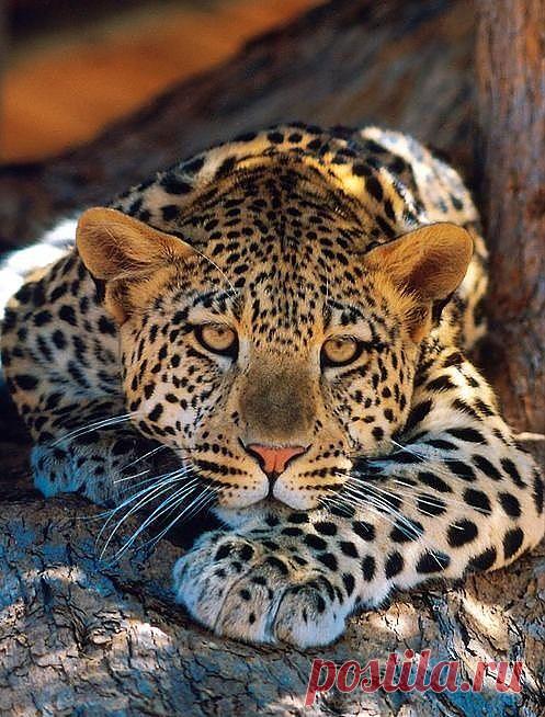 Мои закладки