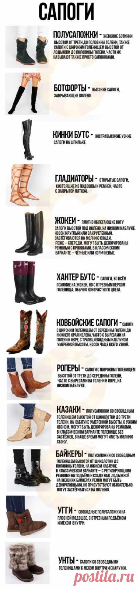Сапоги
