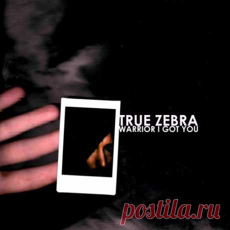 True Zebra - Warrior I Got You (2025) [Single] Artist: True Zebra Album: Warrior I Got You Year: 2025 Country: Belgium Style: New Wave, Post-Punk, Synthpop