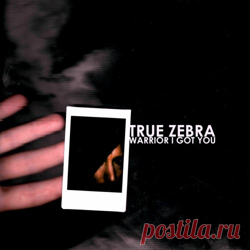 True Zebra - Warrior I Got You (2025) [Single] Artist: True Zebra Album: Warrior I Got You Year: 2025 Country: Belgium Style: New Wave, Post-Punk, Synthpop