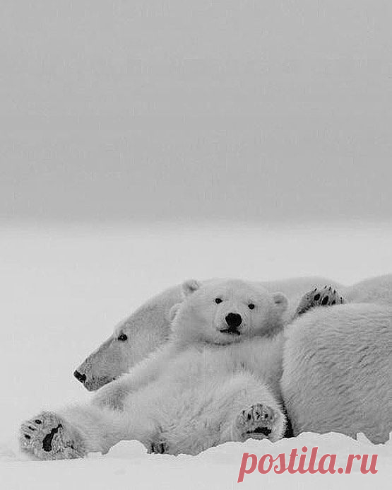 (2939) Pinterest