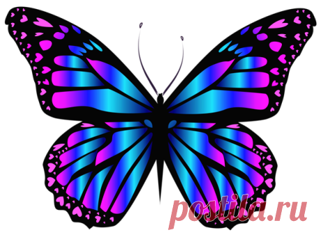 47e8843822123462f2ddd38e6f262ddf.png (600×444)