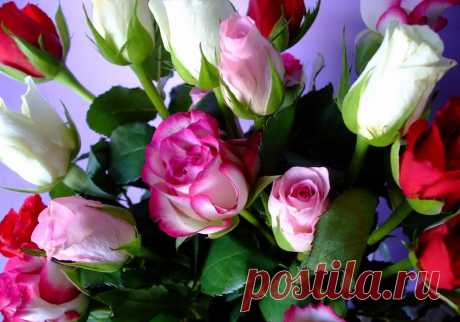 Мой Мир@Mail.Ru