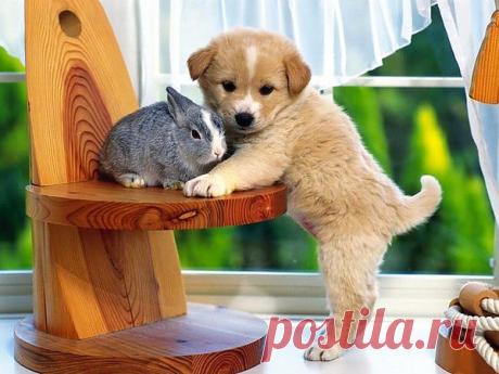 Позитив