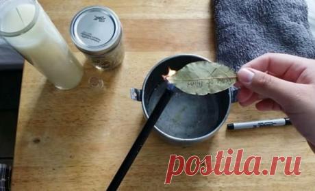 Поджигаем лавровый лист: хитрость опытных жильцов Обычный лавровый лист и коробок спичек — опытным жильцам больше ничего не нужно, чтобы создать в доме атмосферу свежести. А ведь хитрость с лавровым листом была известна еще древним римлянам!  Римляне заметили, что прогорев лавровый лист оставляет после себя приятный, не навязчивый аромат. Это