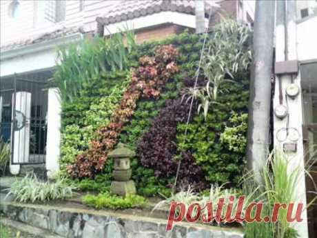 vERTICAL GARDEN.wmv