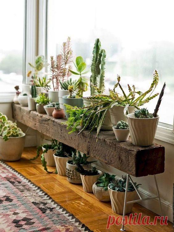 Идеи подставок для растений