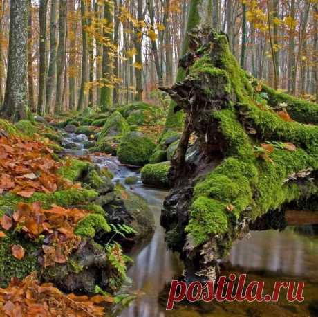 Интересные новости