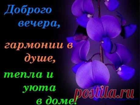 ПРЕКРАСНОГО ВЕЧЕРА!