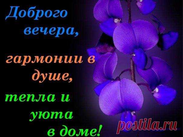 ПРЕКРАСНОГО ВЕЧЕРА!