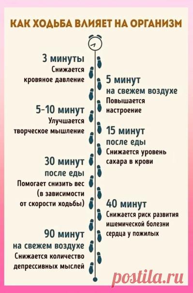 Как ходьба влияет на организм