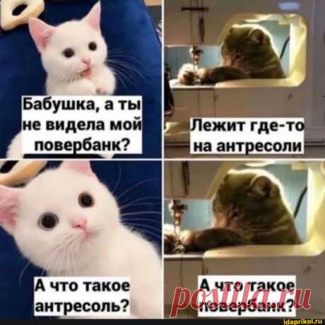 Бабушка, а ты не видела мой повербанк? такое А что такое повербанк? - ) / АйДаПрикол .)