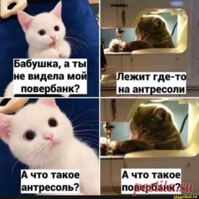 Бабушка, а ты не видела мой повербанк? такое А что такое повербанк? - ) / АйДаПрикол .)
