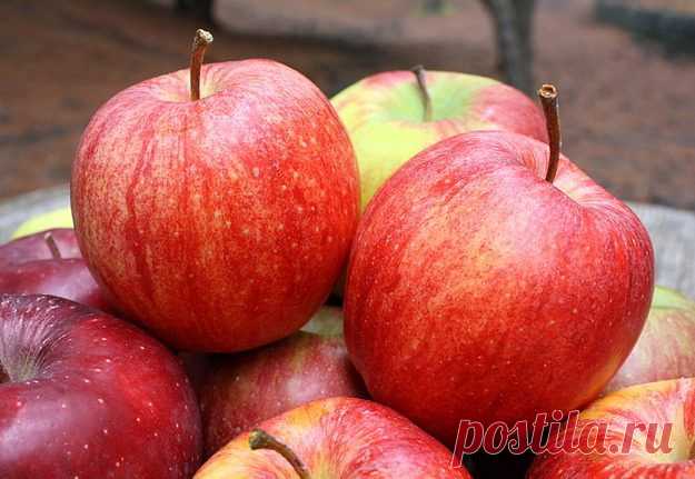Десять продуктов для лечения высокого кровяного давления / Будьте здоровы