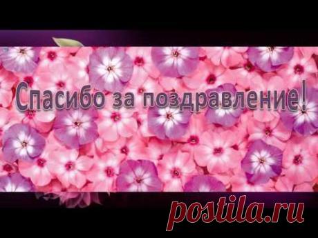 Спасибо за поздравление!
