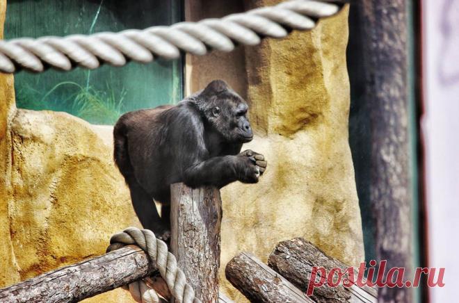 Ваши фото: день раздумий / Фото дня / Моя Планета